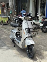 Xe Điện V1 Plus Platinum