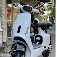 Xe Điện V1 Plus Thắng Đĩa 2025