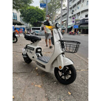 xe điện VC 2025