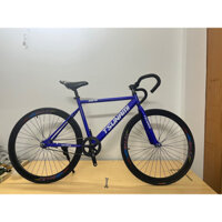 XE FIXED GREAD TSUNAMI NEW 100% ĐÙM NHÔM.