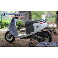 Xe ga 50cc Dibao Gofast - 2022