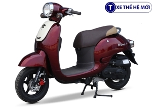 Xe ga 50CC Giorno Mono