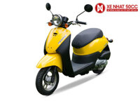 XE GA 50CC HONDA TODAY NHẬP KHẨU