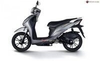 Xe Ga 50cc KYMCO Candy Hermosa Xám/Đen Nhám