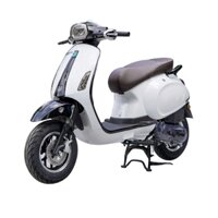 XE GA 50CC NIOSHIMA PLUS 2022