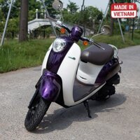 Xe ga 50cc TAYA SCOOPY (màu tím) NEW