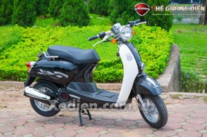 Xe ga Scoopy 50cc Việt Thái