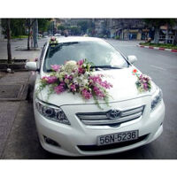 Xe hoa cưới Thanh Xuân Hà Nội