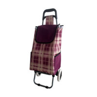Xe kéo đi chợ kèm túi tiện lợi Fujihome ST-30AF