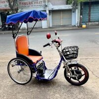 Xe lắc điện 3 bánh Kiến Tường - khung sườn inox có mui che