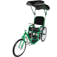 XE LẮC TAY BẰNG SẮT SƠN TĨNH ĐIỆN CHO NGƯỜI KHUYẾT TẬT ĐỨC CƯỜNG CÓ MÁI CHE - Y Khoa Thông Minh