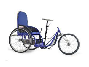 Xe lắc tay sắt sơn VN