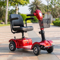 Xe lăn 4 bánh - Xe lăn điện dòng scooter D802