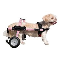 Xe lăn cho chó Walkin’ Wheels SMALL Dog Wheelchair