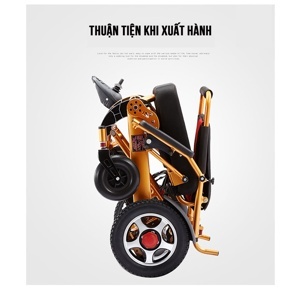 Xe lăn điện Việt Pháp TM094