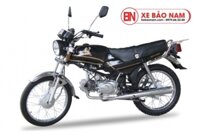 XE MÁY 110CC WIN ESPERO DETECH ( vành nan )