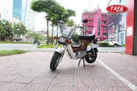 Xe máy 50cc Chaly Taya (màu cafe)