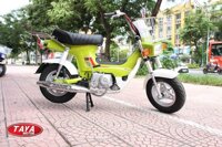 Xe máy 50cc Chaly Taya (xanh cốm)