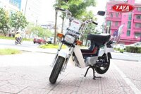 Xe máy 50cc Chaly Taya (xanh cửu long)