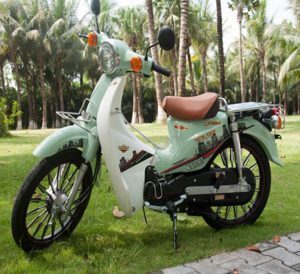 Xe máy 50cc Cub 81 Victoria