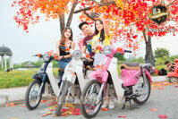 Xe máy 50cc CUB 81 Việt Thái