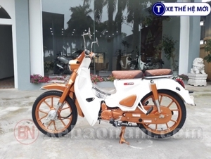 Xe máy 50cc Cub Ally Classic