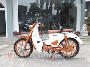 Xe máy 50cc Cub Ally Classic