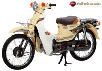 Xe Máy 50cc Cub Japan
