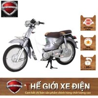 Xe Máy 50cc Cub New Ally 2022 Thiết Kế Độc Đáo Cho Các Bạn Học Sinh, Sinh Viên