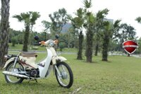 Xe Máy 50cc Cub Victoria Việt Nhật 2023