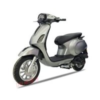 Xe máy 50cc tay ga DV Canely (Màu xám)