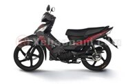 XE MÁY 50CC VISAR KYMCO