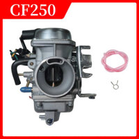 Xe máy Carburador 250cc Xe tay ga làm mát bằng nước, CF250, CH250, CN250, HELIX Qlink, Commuter 250, Roketa, MC54-250B, Bán hàng trực tiếp tại nhà máy, Chịu nhiệt độ cao