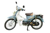 XE MÁY CUP 81 50CC ESPERO DETECH