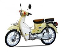 Xe máy Detech 50cc Cub 81 (Mâm Đúc)