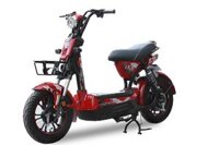 XE MÁY ĐIỆN BYVIN M133S PLUS