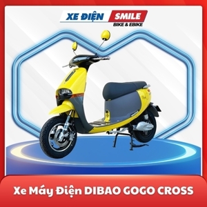 Xe máy điện Dibao Gogo Cross 2022