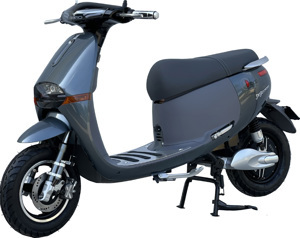 Xe máy điện Dibao Gogo Cross 2022