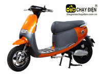 Xe máy điện Dibao Gogo S4