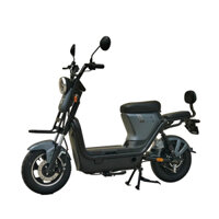 XE MÁY ĐIỆN DIBAO M-ONE