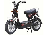 Xe máy điện Giant M133 S10