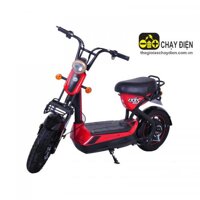 Xe máy điện Suzika 133