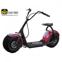 Xe máy điện Suzika D1