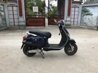 Xe Máy Điện Vespa HTC 79 Cũ