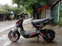 Xe Máy Điện Xmen Cũ