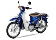 Xe Máy Halim Cub 81 50cc