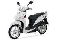 XE MÁY SYM SHARK 50