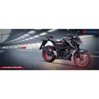 Xe Máy, Xe côn tay SUZUKI GSX-S150 - Hàng chính hãng