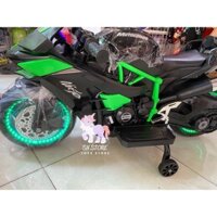 Xe moto điện tải trọng 50kg