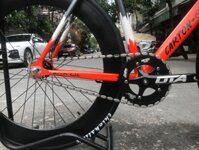 Xe Pizz Carton Picker Cam - Fixed Gear - 52 - INTRO7 48T (chiếc)